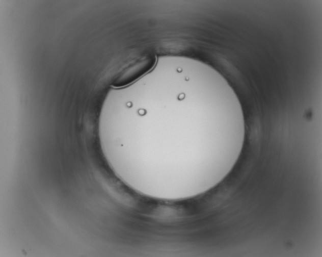X0000113930455200910161855