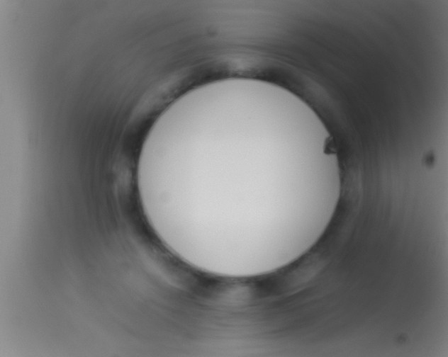 X0000113930456200910161855