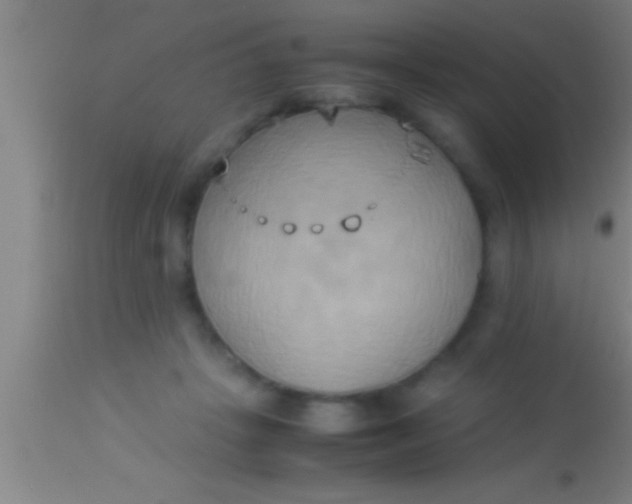 X0000113930457200910161855