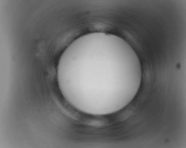X0000113930459200910161855