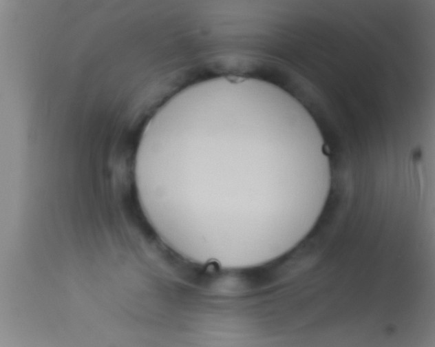 X0000113930460200910161855