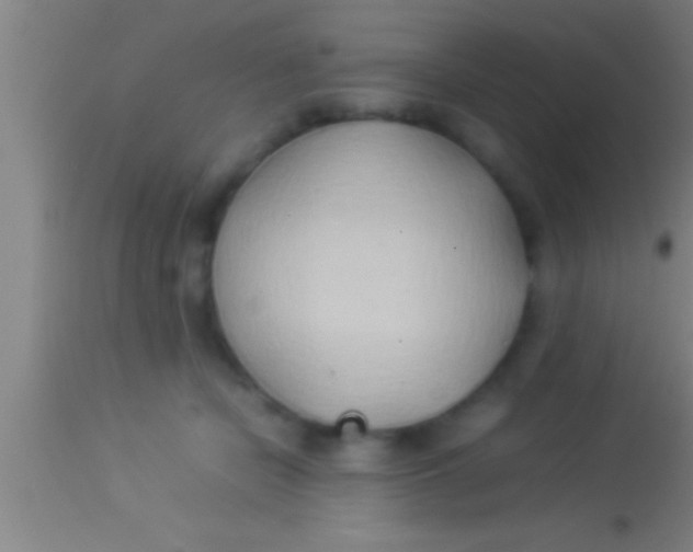 X0000113930462200910161855