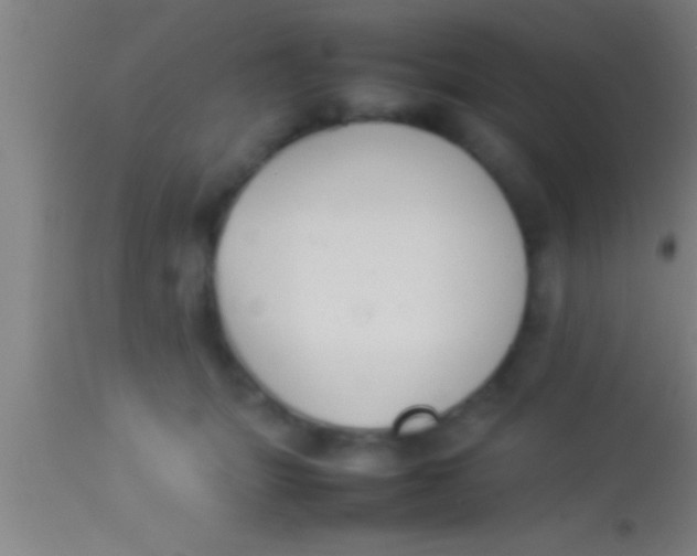 X0000113930463200910161855
