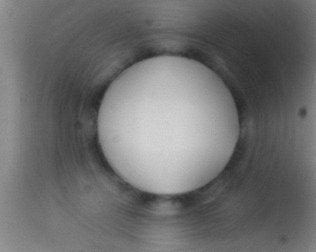 X0000113930464200910161855