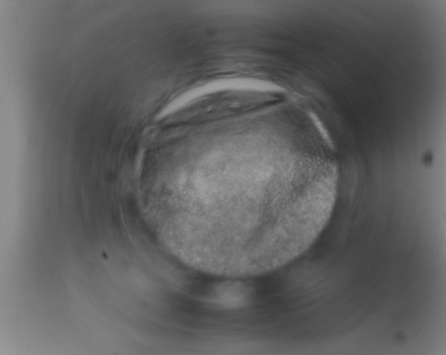 X0000113930465200910161855