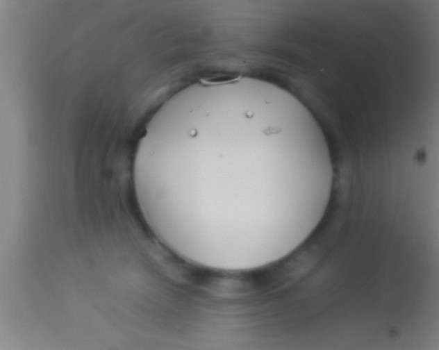 X0000113930466200910161855