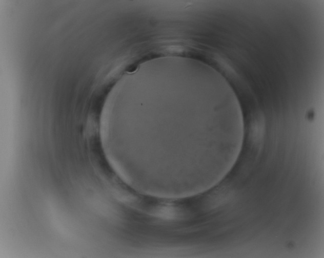 X0000113930467200910161855