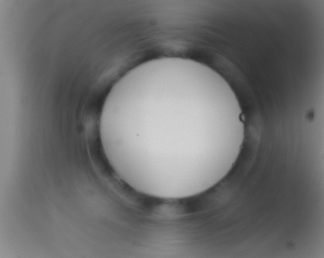 X0000113930468200910161856