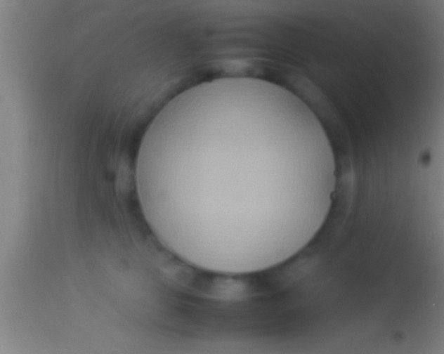 X0000113930469200910161856