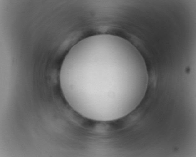X0000113930470200910161856