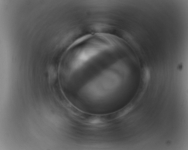 X0000113930471200910161856