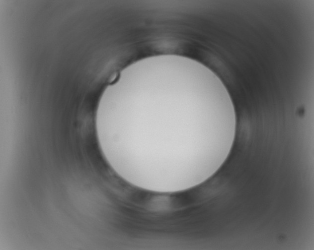 X0000113930473200910161856