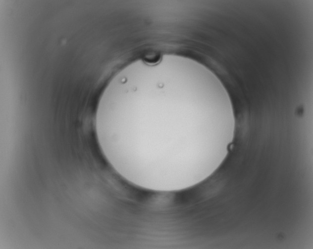 X0000113930474200910161856