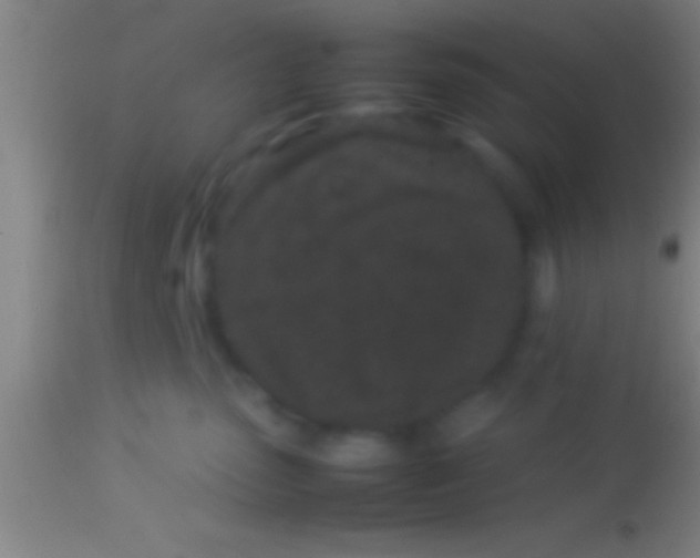 X0000113930475200910161856