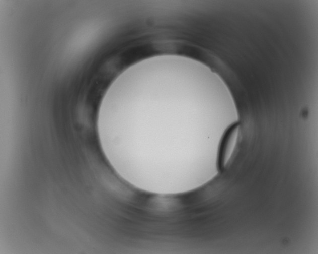X0000113930477200910161856