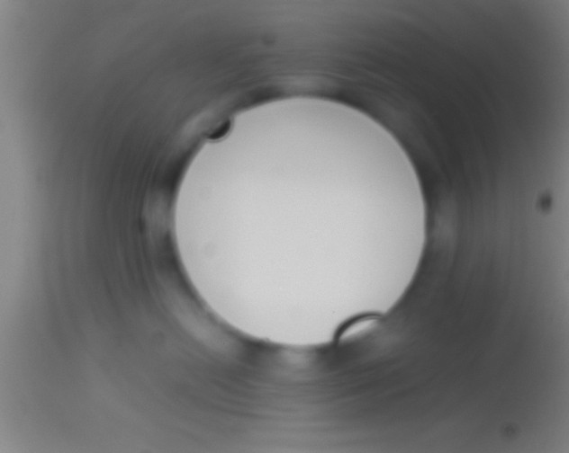 X0000113930478200910161856