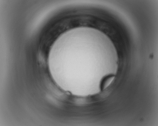 X0000113930479200910161856