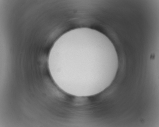 X0000113930480200910161856