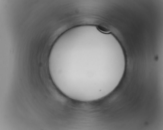 X0000113930481200910161855
