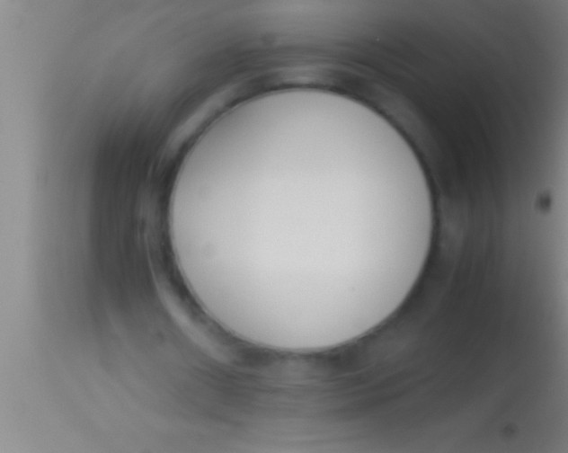 X0000113930482200910161855