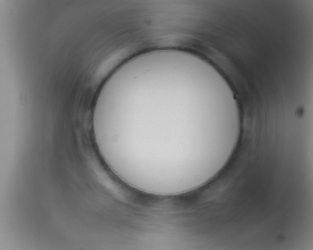 X0000113930485200910161855