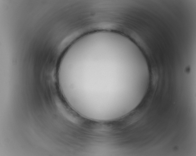 X0000113930486200910161855