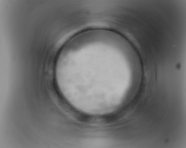 X0000113930487200910161855