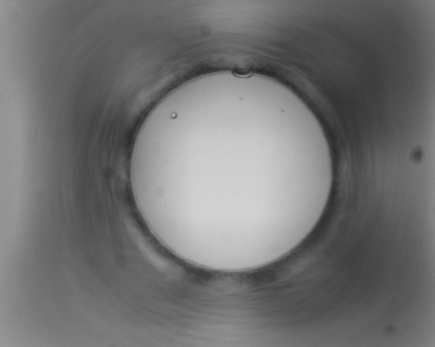 X0000113930489200910161855
