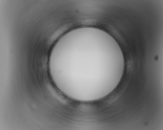 X0000113930490200910161855