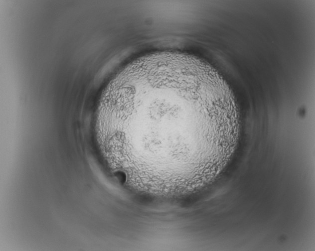 X0000113930491200910161855