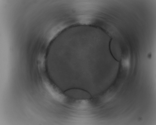 X0000113930492200910161855