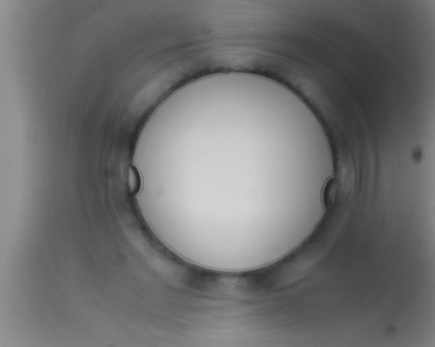 X0000113930493200910161855
