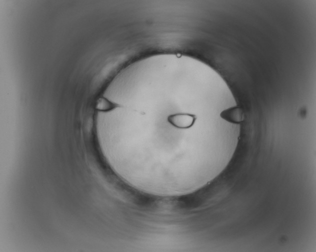X0000113930495200910161855