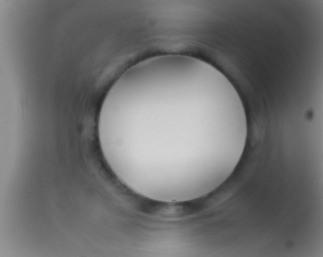 X0000113930497200910161855