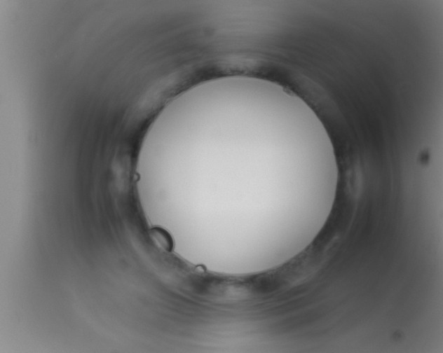 X0000113930498200910161855
