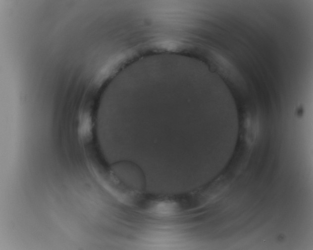 X0000113930500200910161855