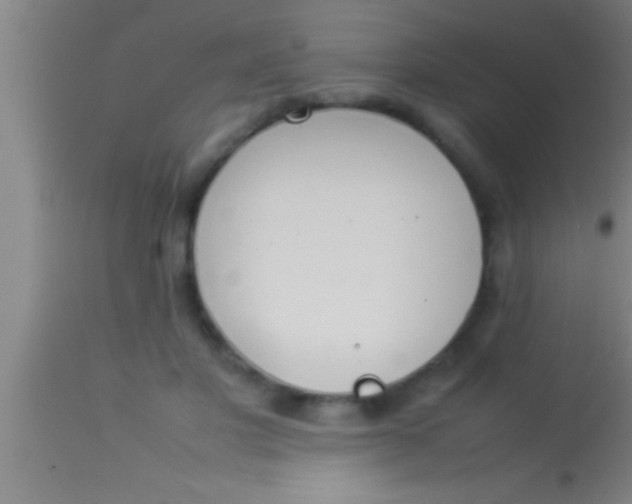 X0000113930501200910161855