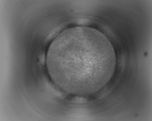 X0000113930502200910161855