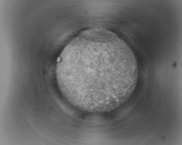 X0000113930503200910161855