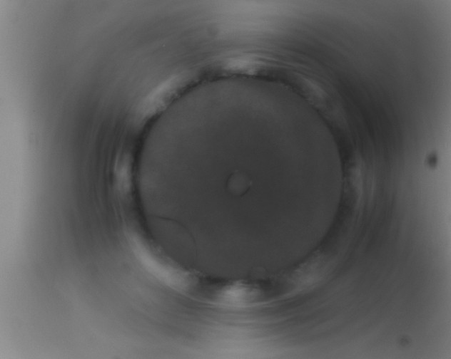 X0000113930504200910161855