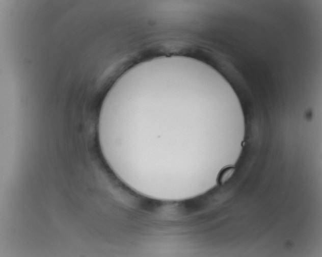 X0000113930505200910161855