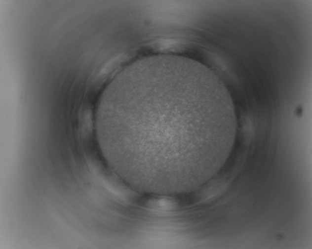 X0000113930506200910161855