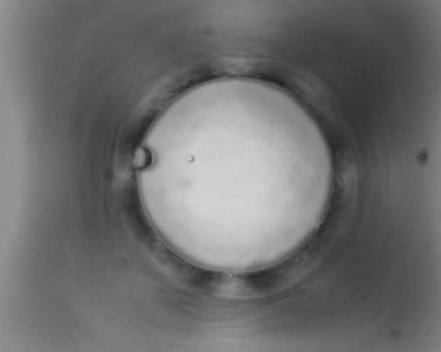 X0000113930507200910161855