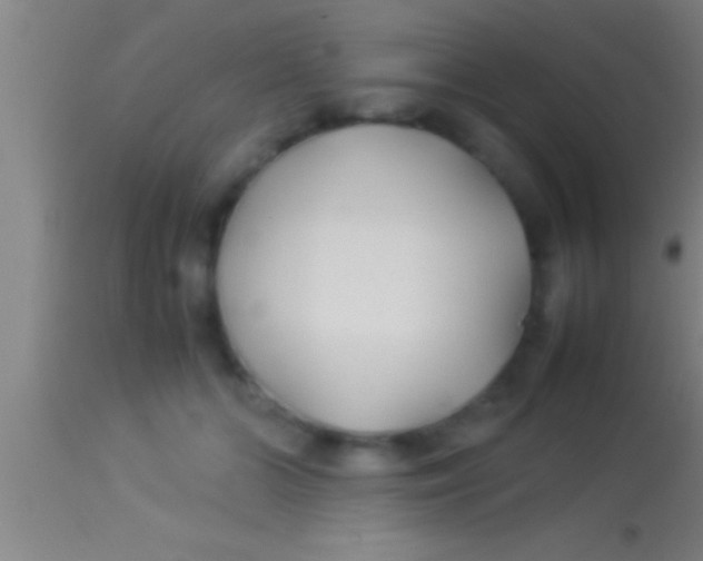 X0000113930510200910161855