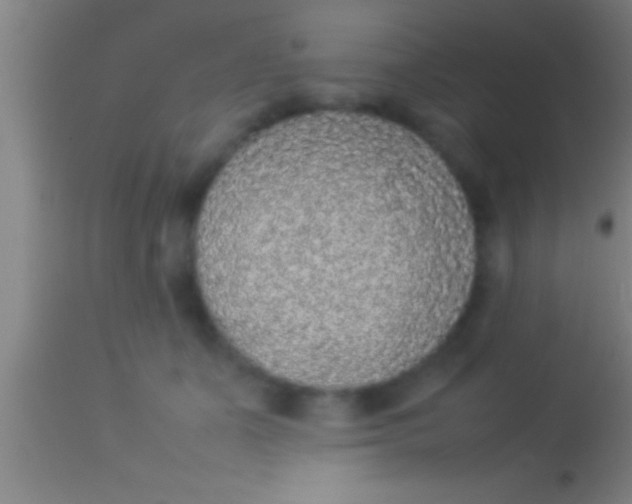 X0000113930511200910161855