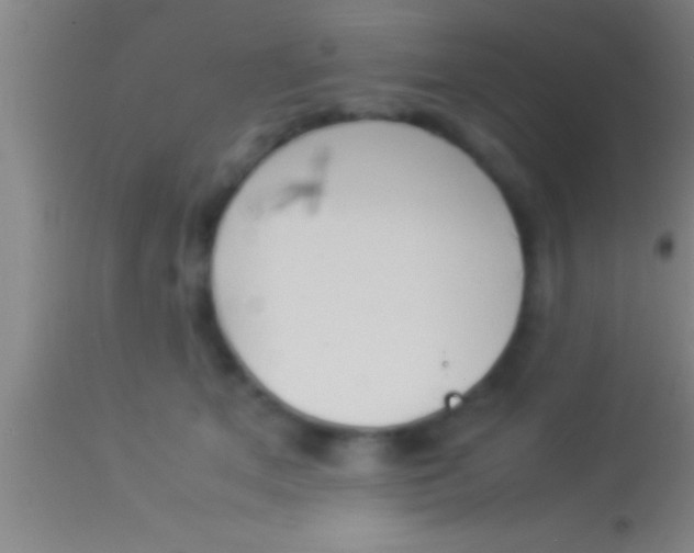 X0000113930513200910161854