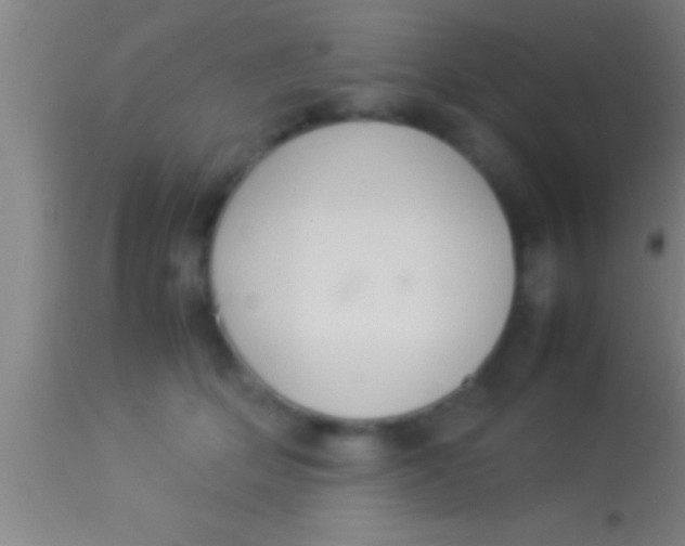 X0000113930514200910161854