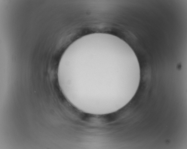 X0000113930515200910161854