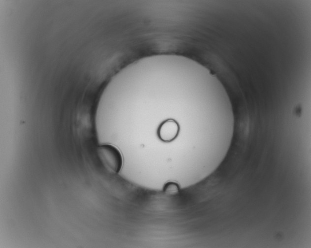 X0000113930516200910161854