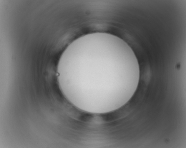 X0000113930518200910161854